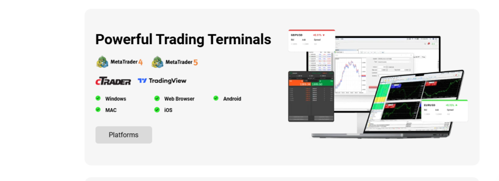trading platform